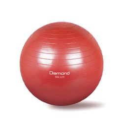 Diamond Fitness Gym Balls e pompa per il gonfiaggio inclusa diamond