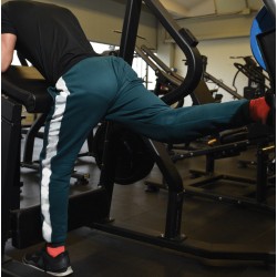 Toorx Gluteus FWX 4600 Toorx