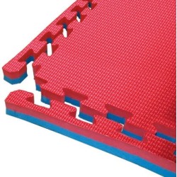 Toorx Tatami Set 1 pannello + 4 bordi rosso/blu - Dimensione singolo pezzo 100x100 cm Toorx